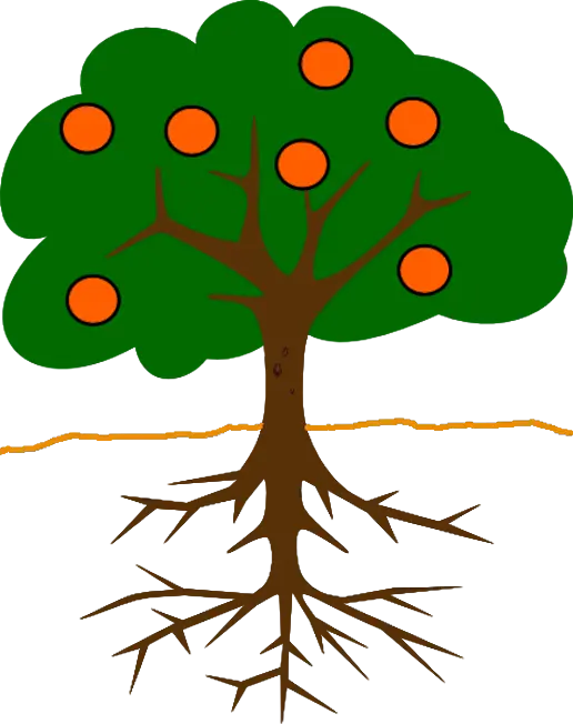 frutos